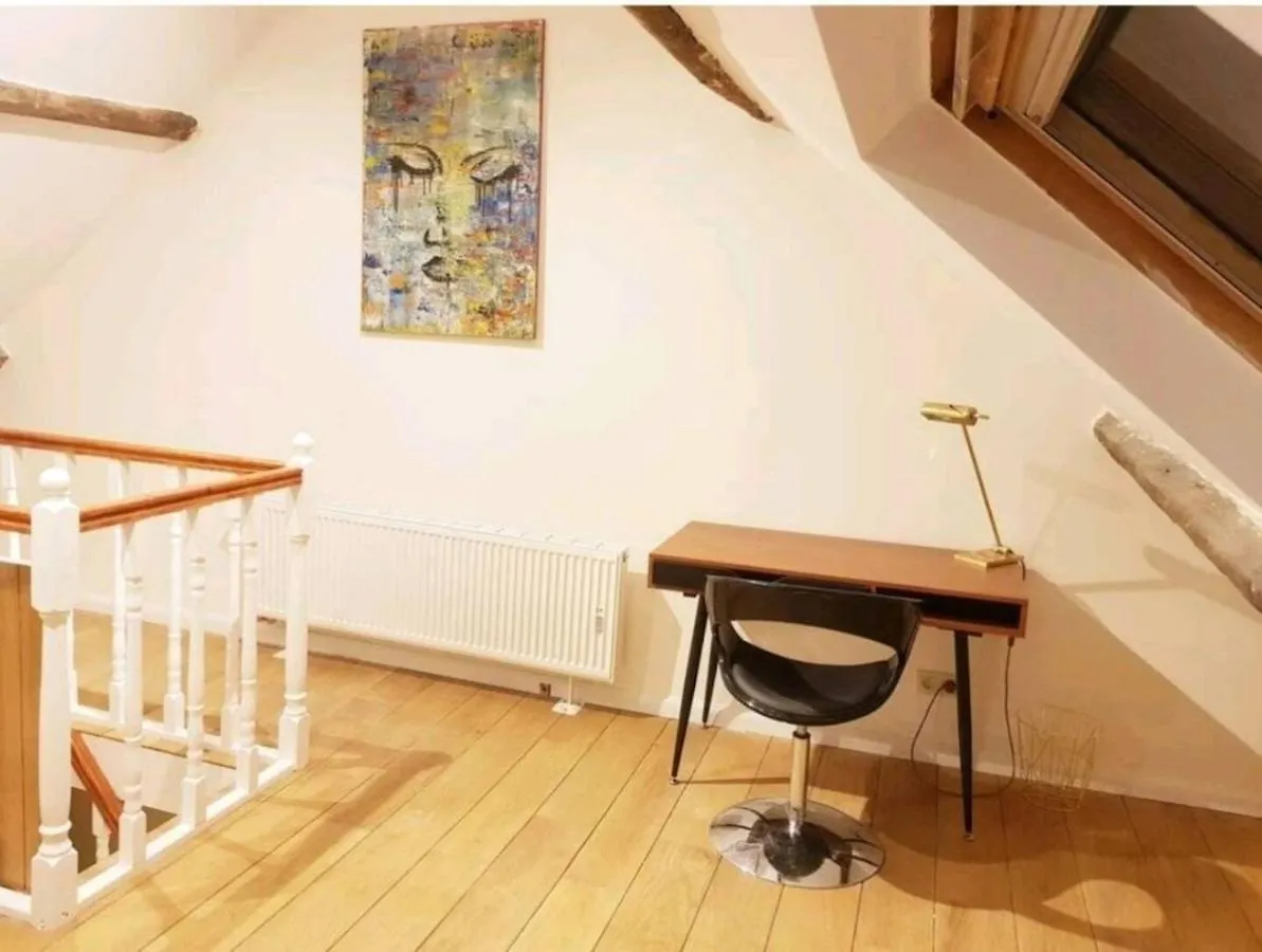 Beautiful Duplex In The Center Of Brussels Apartment